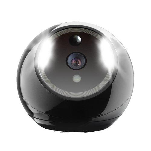 Amaryllo Biometric Security Camera