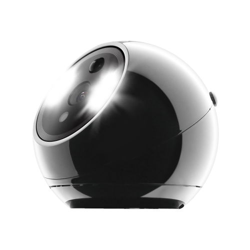 Amaryllo Biometric Security Camera