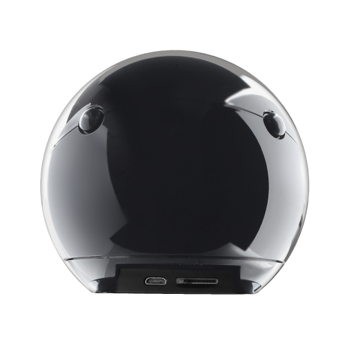 Amaryllo Biometric Security Camera