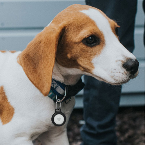 Étui avec porte-clés pour AirTag de Belkin - Noir