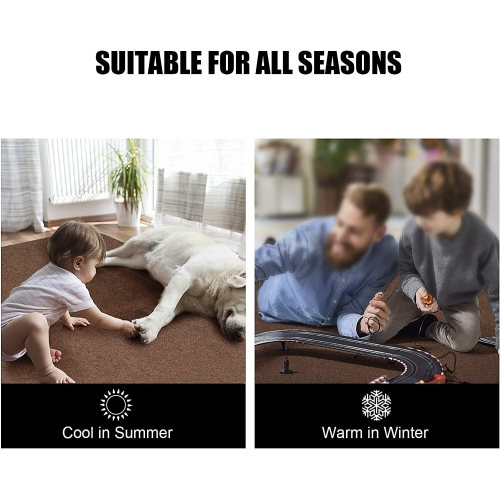 Vicwe Chair Mat for Hardwood Floors, 4MM Thick, 48" x 36" Office Home Floor Protector Mat, Multi-Purpose Chair Carpet for Home/Office