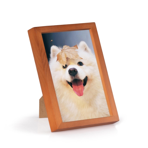 Modern Photo Frame for Wall or Tabletop, 1/Pack - 5" x 7"