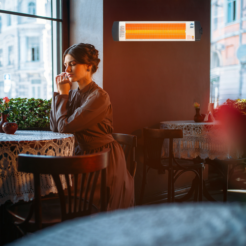 Chaufferette électrique de 1500 W C-15 d'Econat avec thermostat pour l'intérieur et l'extérieur
