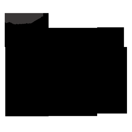 FOTILE 24" Steam Oven Built-In SCD42-C2T