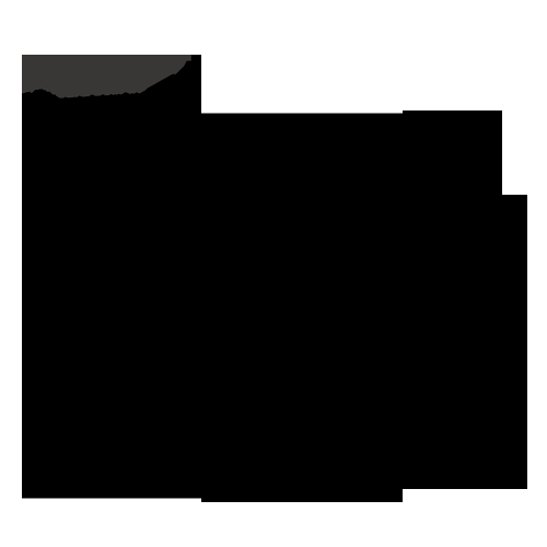 FOTILE 24" Steam Oven Built-In SCD42-C2T