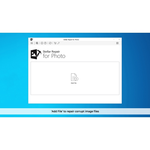 Stellar Photo Recovery Software | Windows | Professional| Recover Deleted Photos | 1 PC 1 Year |- Digital Download