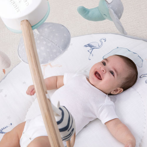 Aden + Anais Baby Play Activity Gym Mat