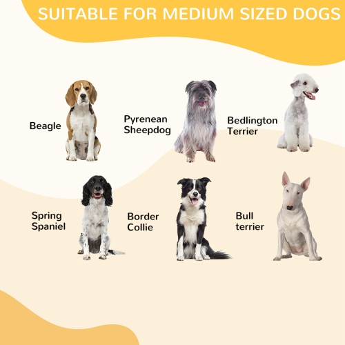 PawHut Dog Playpen, Heavy-duty Metal Puppy Play Pen, Pet Exercise Fences for Outside and Indoor, DIY Design with Door for Multiple Dogs, 8 Panels,