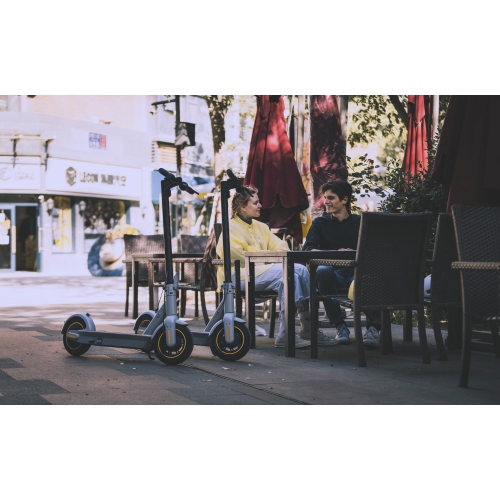 Segway Ninebot Electric Kick scooter MAX G30LP - Gray