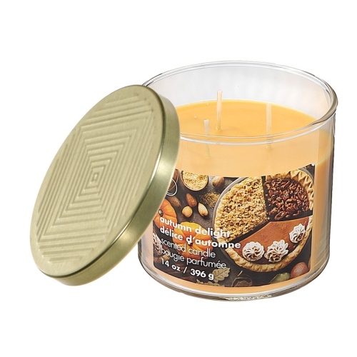 MAISON CONCEPTS  14 OZ 3 Wick Jar Candle With Lid (Autumn Delight)