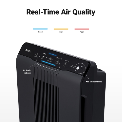 Purificateur d'air Winix PlasmaWave avec True HEPA et filtre à charbon AOC lavable réduisant les odeurs, gris anthracite -