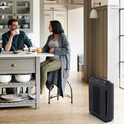 Purificateur d'air Winix PlasmaWave avec True HEPA et filtre à charbon AOC lavable réduisant les odeurs, gris anthracite -