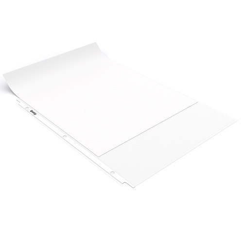 Davis Group QuickFit® Heavyweight Top Load, Letter Size Sheet Protectors, Clear - 225 Pack