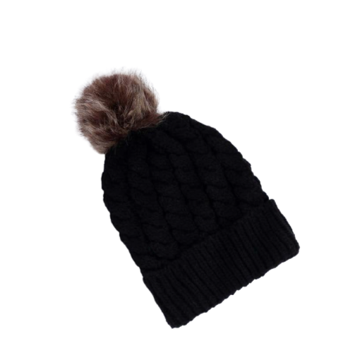 best pom pom beanie