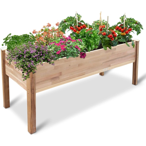 Jumbl Raised Canadian Cedar Garden Bed | Elevated Wood Planter for Growing Fresh Herbs, Vegetables, Flowers, Succulents & Other Plants at Home |