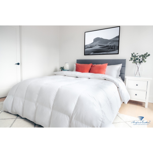 HIGHLAND FEATHER  600 Fill Power Goose Down Duvet 233Tc Pure Cotton Casing With Corner Ties Tortosa, Summer Lightweight, Queen, 25 OZ In White