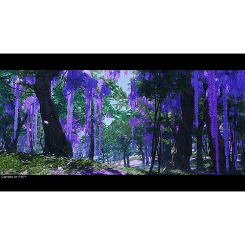 Ghost of Tsushima Director's Cut