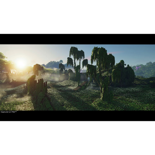 Ghost of Tsushima Director's Cut