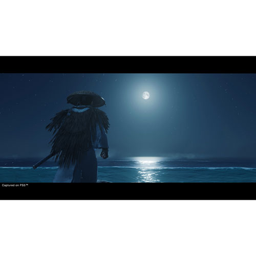 Ghost of Tsushima Director's Cut