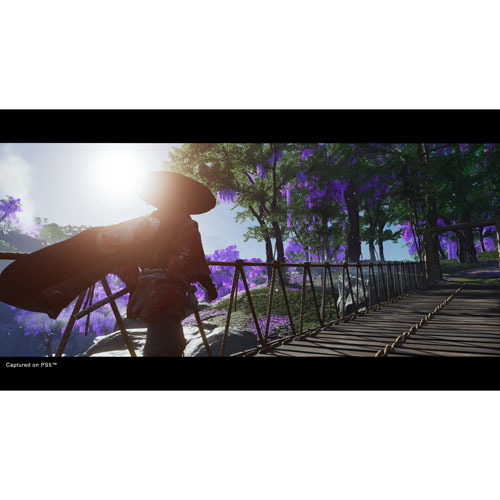 Ghost of Tsushima Director's Cut (PS5)