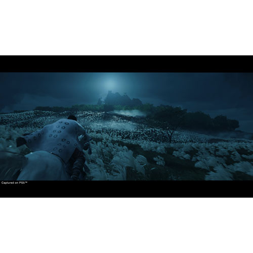 Ghost of Tsushima Director's Cut