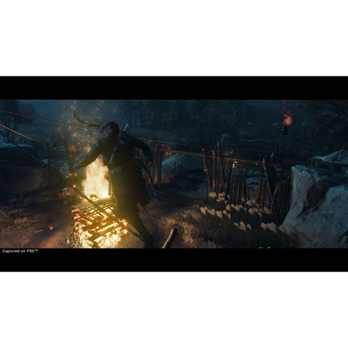 Ghost of Tsushima Director's Cut