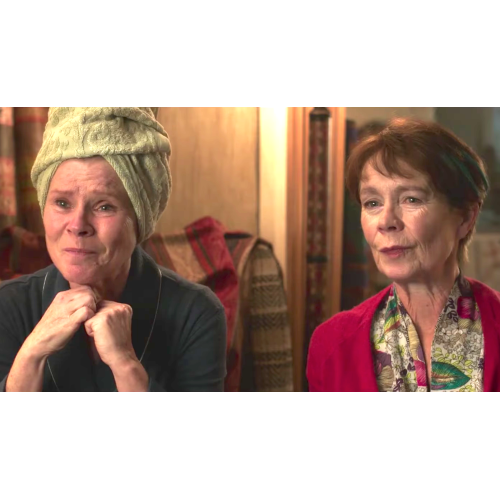 Finding Your Feet [DVD]