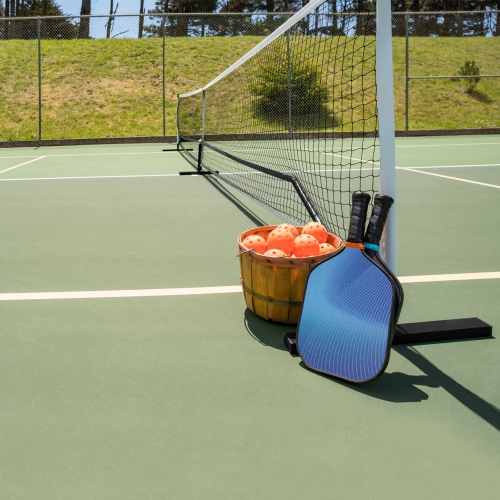 Goplus 22ft Portable Pickleball Net Set System W/Carry Bag Indoor Outdoor Game