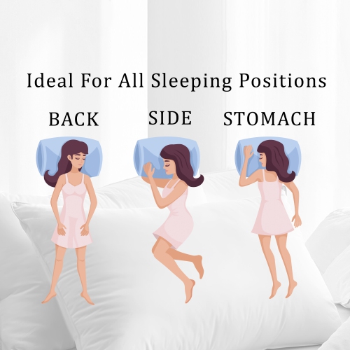 Highland Feather 600 Fill Power White Goose Down Pillow 700TC Pure Cotton Casing VAASA Soft and Comfy Support Soft Standard Size 14 oz One Pillow