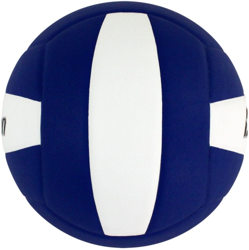 Baden LEXUM Indoor Microfiber Volleyball - Official NFHS Approved Game Ball, Royal Blue/White