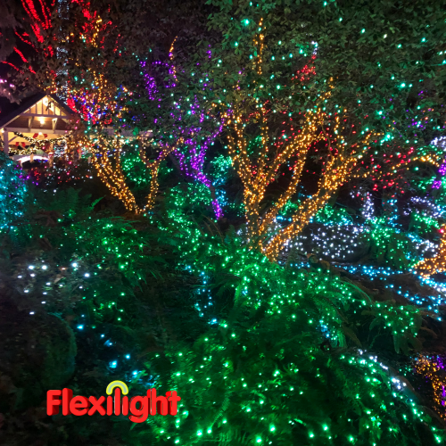 Flexilight 50 Count Faceted G12 Raspberry LED String Light Set 25Ft Green Wire Outdoor Decoration Christmas Tree