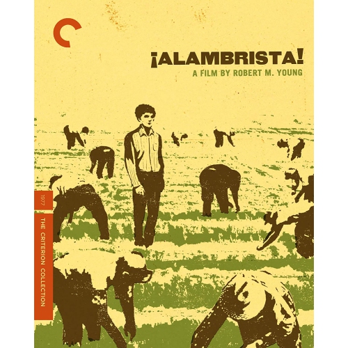 Alambrista!(DVD)