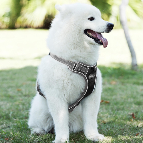 Veste en tissu Oxford réfléchissant 3M réglable sans harnais pour chien, très grand - LIVAGIBasics™