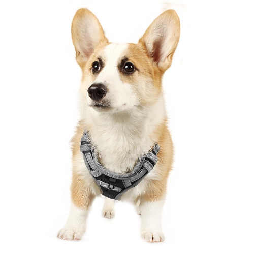 Veste en tissu Oxford réfléchissant 3M réglable sans harnais pour chien, très grand - LIVAGIBasics™