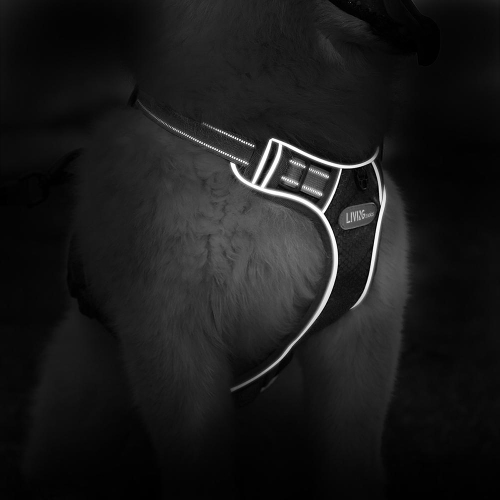 Veste en tissu Oxford réfléchissant 3M réglable sans harnais pour chien, très grand - LIVAGIBasics™