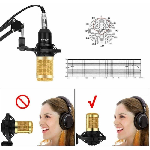 Condenser Microphone Bundle Kit Studio Audio Recording with Adjustable Arm Stand