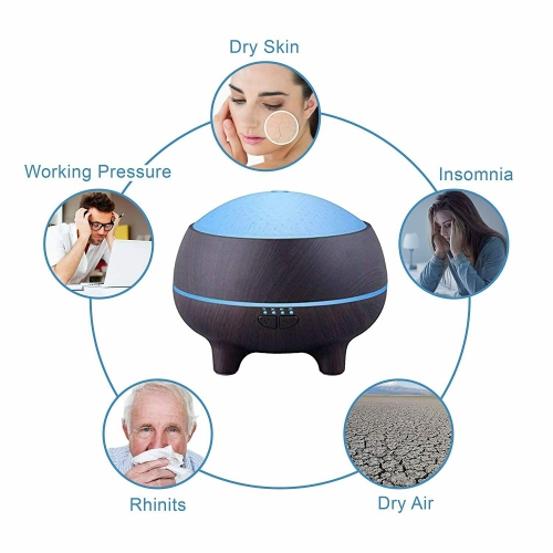 Essential Oil Diffuser Humidifier with Bluetooth Speaker Pure Aromatherapy LED