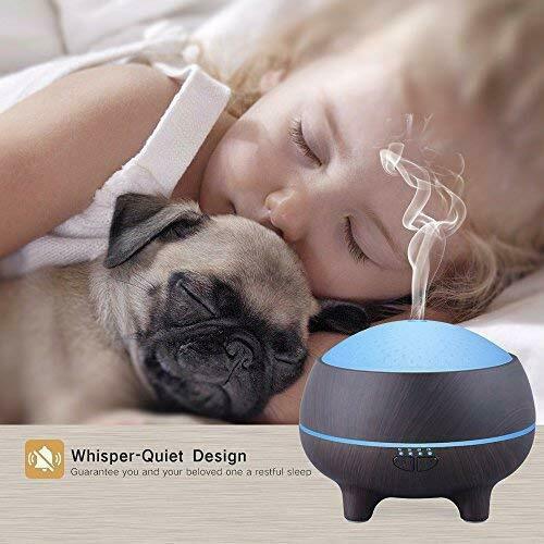 Essential Oil Diffuser Humidifier with Bluetooth Speaker Pure Aromatherapy LED