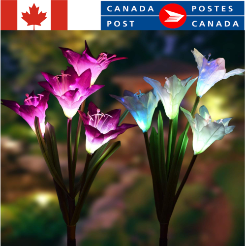 Outdoor Solar Garden Lights, 2 Pack Solar Powered Lights with Lily Flower Lights