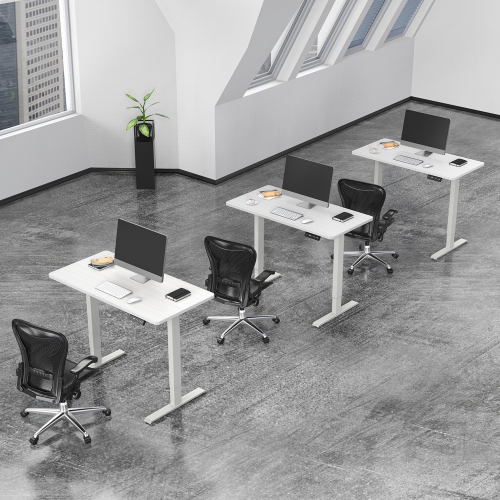 SHOPPINGALL Dual Motor Height Adjustable Electric Sit to Standing Desk 48 x 24 Inch Tabletop, 3 Memory Preset Button Controller - SA-GHED122D-1P