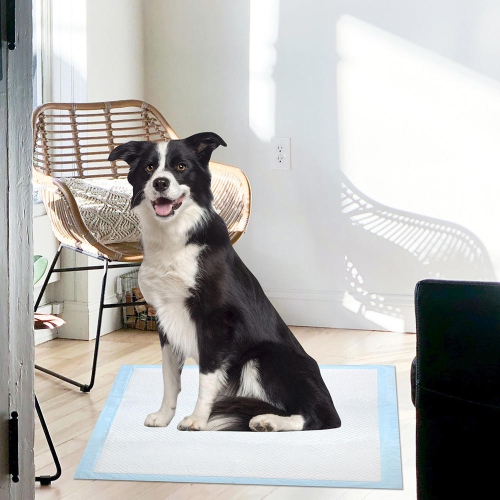 Super-Absorbent Waterproof Dog and Puppy Pet Training Pad, Housebreaking Pet Pad-LIVINGbasics