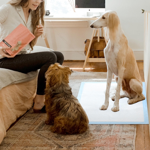 Super-Absorbent Waterproof Dog and Puppy Pet Training Pad, Housebreaking Pet Pad-LIVINGbasics