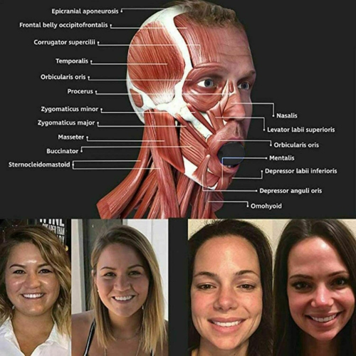 Jawline Exerciser Jawlineme Exercise Fitness Ball Neck Face Toning Chin Beauty