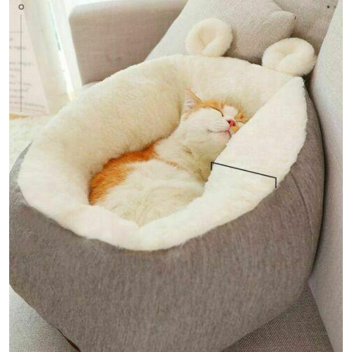 Lit de chat pour chats d’intérieur coussin non antidérapant lavable Chiot Nest de Comfy Kitten