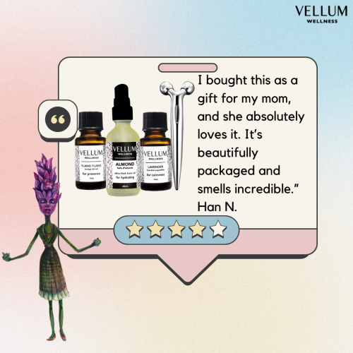 Vellum Wellness Essential Oil Deluxe Sleep Kit for aroma diffuser, sleep, rest and relaxation. Multi-piece set of 15 ml essential oils