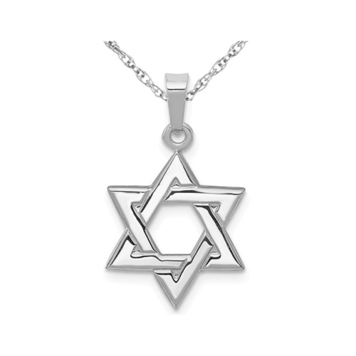 14K White Gold Polished Star Of David Pendant Necklace with Chain