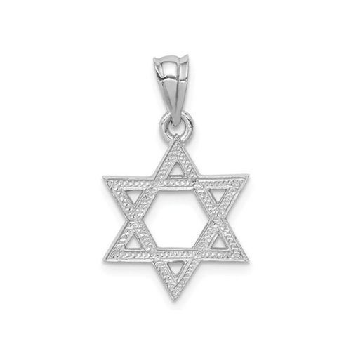 14K White Gold Polished Star Of David Pendant Necklace with Chain