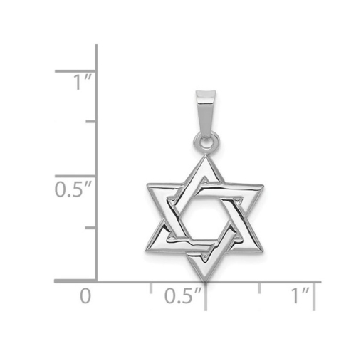 14K White Gold Polished Star Of David Pendant Necklace with Chain