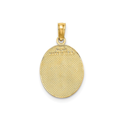Fleur De Lis Disc Pendant Necklace in 10K Yellow Gold with Chain