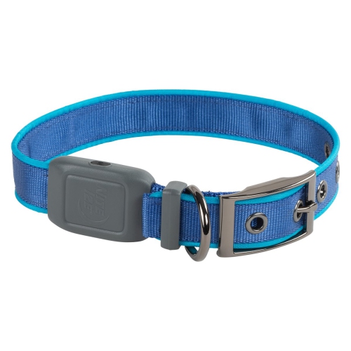 Best buy clearance dog collar